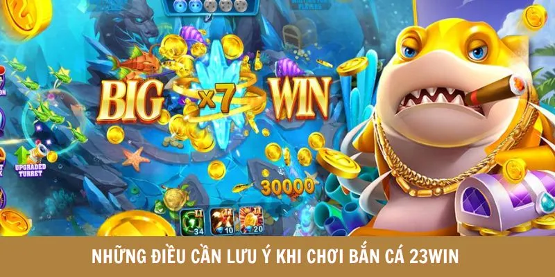 luu-y-khi-choi-ban-ca-doi-thuong-23win